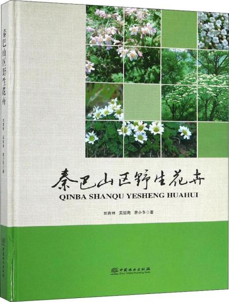 秦巴山區(qū)野生花卉 