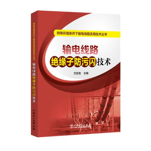 特殊环境条件下输电线路实用技术丛书 输电线路绝缘子防污闪技术