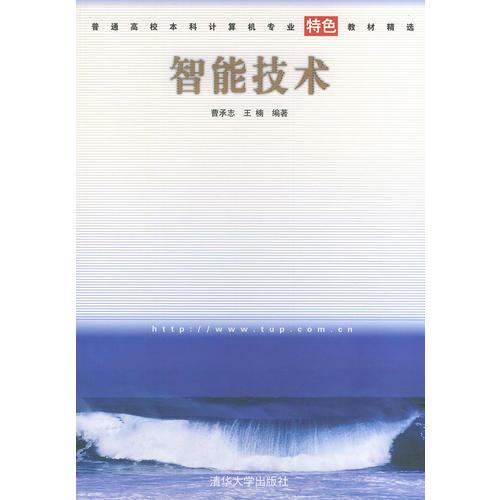 智能技術(shù)——普通高校本科計算機專業(yè)特色教材精選