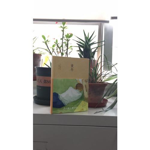 高尔基：童年（精装）