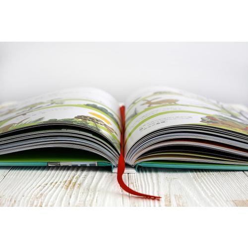 DK幼儿百科全书——那些重要的事