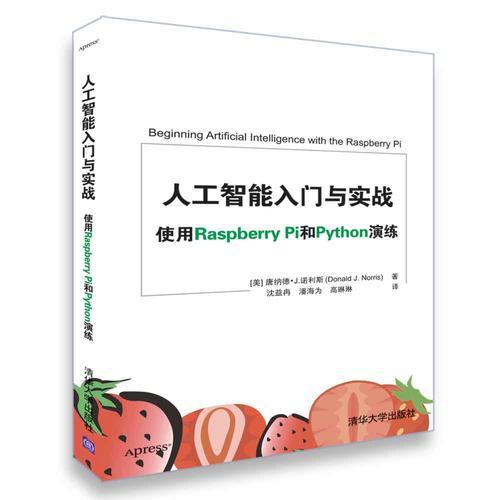 人工智能入門與實(shí)戰(zhàn) 使用Raspberry Pi和Python演練