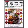 漂亮365天