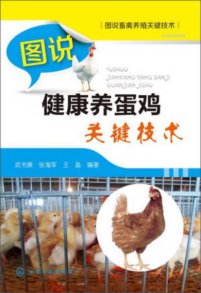 圖說健康養(yǎng)蛋雞關鍵技術