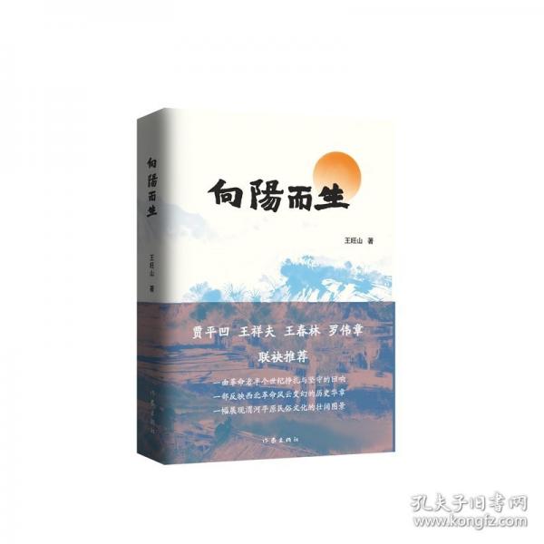 向阳而生/王旺山