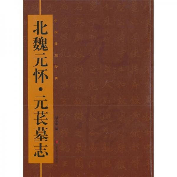 中國(guó)碑刻經(jīng)典：北魏元懷·元萇墓志