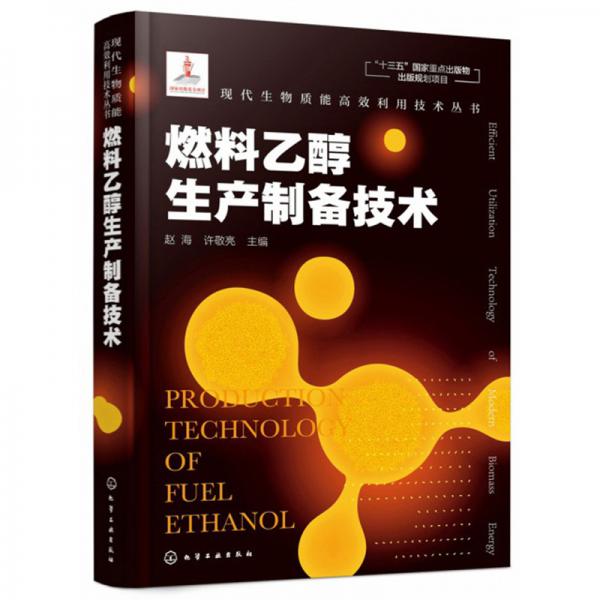 燃料乙醇生产制备技术(精)/现代生物质能高效利用技术丛书