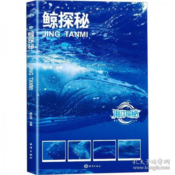 海洋探秘：鲸探秘（四色）