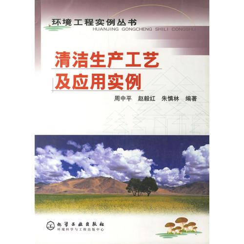 清潔生產(chǎn)工藝及應(yīng)用實(shí)例/環(huán)境工程實(shí)例叢書