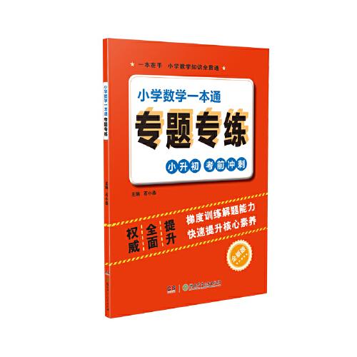 小學(xué)數(shù)學(xué)一本通專題專練
