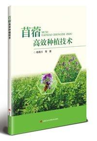 苜蓿高效種植技術(shù)