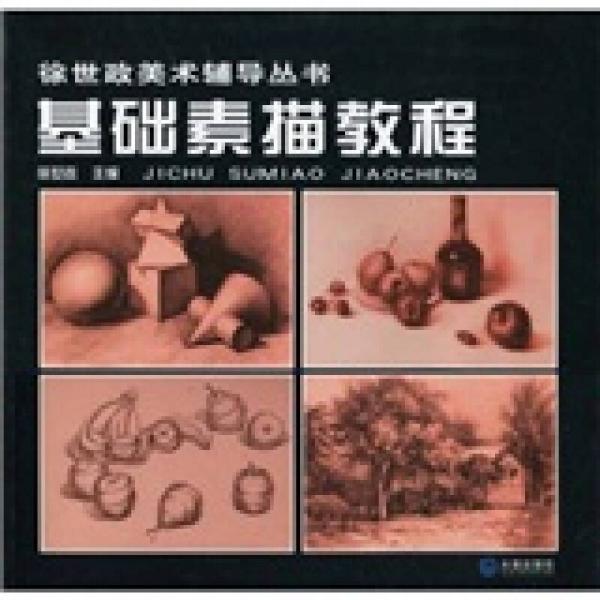 徐世政美術(shù)輔導叢書：基礎(chǔ)素描教程