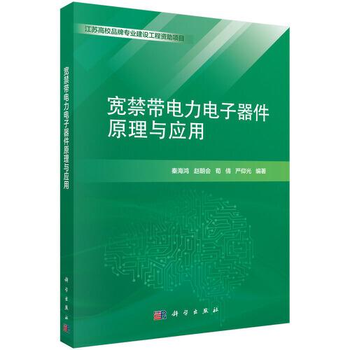 寬禁帶電力電子器件原理與應(yīng)用