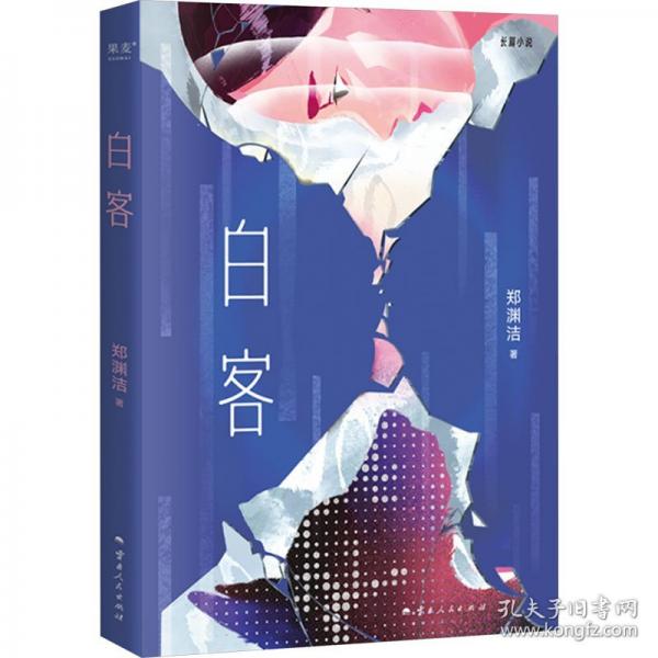 白客（假如你还保有同情心和正义感，你就是拯救世界的白客