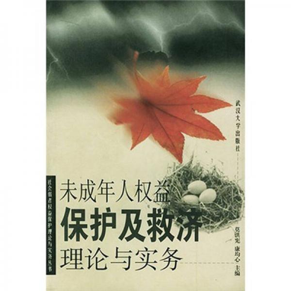 未成年人權(quán)益保護(hù)及救濟(jì)理論與實(shí)務(wù)