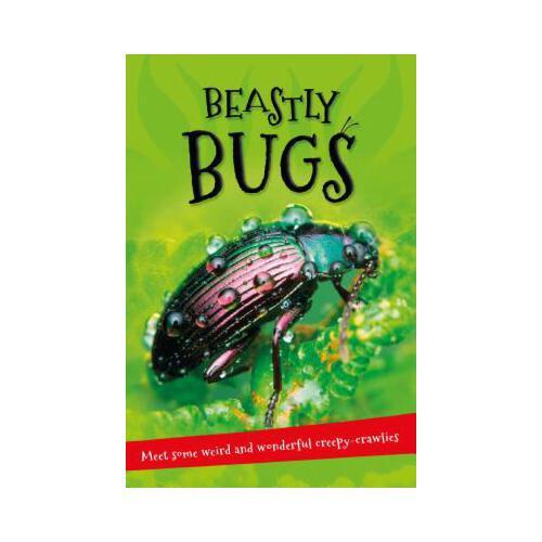 It\'s all about... Beastly Bugs  Everything you want to know about minibeasts in one amazing book