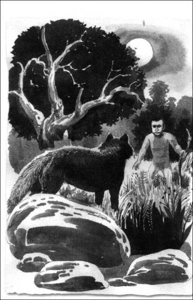 中国幽默儿童文学创作周锐系列：丛林历险记