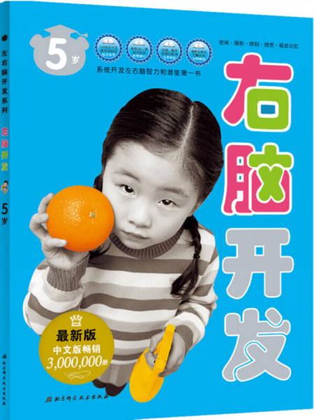 左右腦開發(fā)系列：右腦開發(fā)（5歲 最新版）