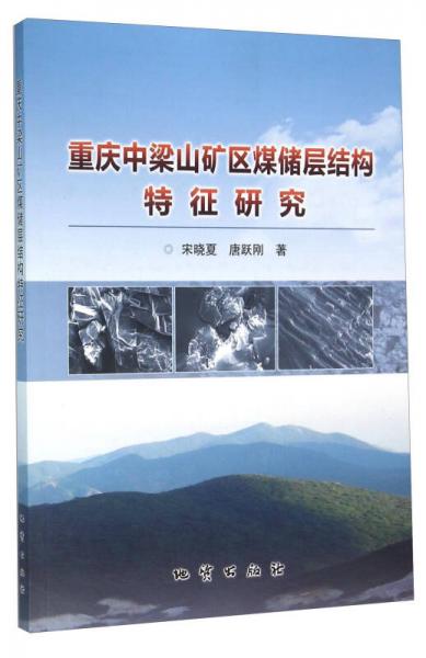 重庆中梁山矿区煤储层结构特征研究