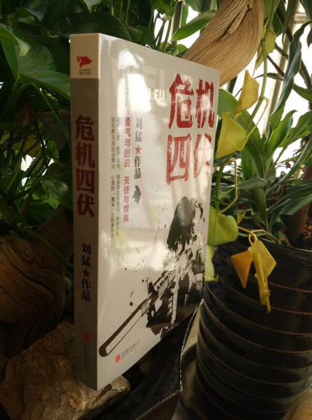 刘猛作品集:危机四伏