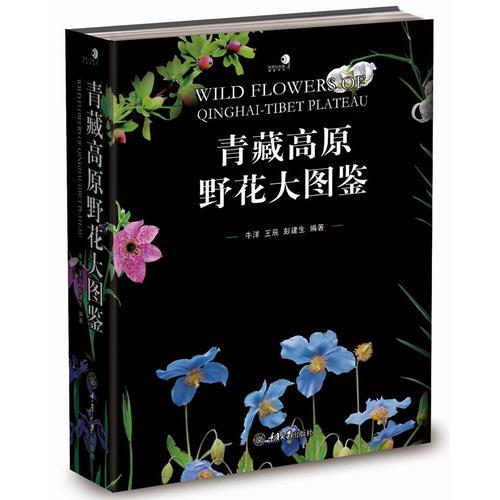 青藏高原野花大圖鑒（精裝）