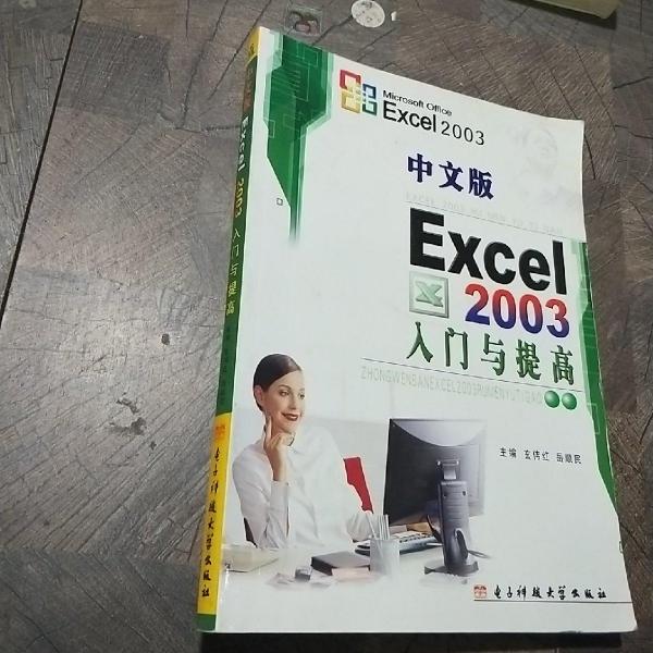中文版Excel 2003入門與提高