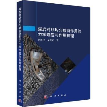 煤巖對非均勻載荷作用的力學(xué)響應(yīng)與作用機理
