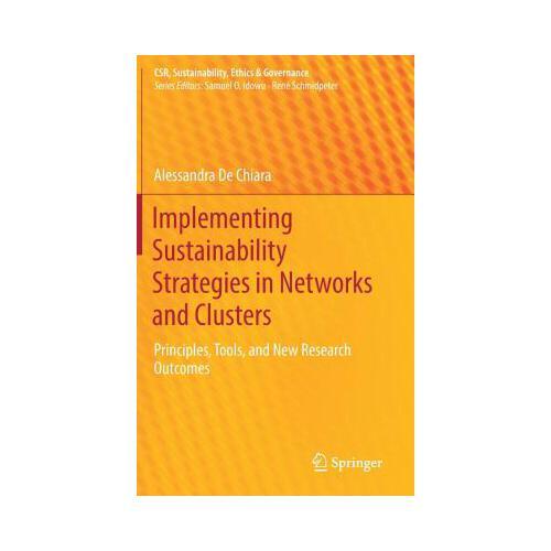 Implementing Sustainability Strategies in Networks and Clusters: Principles, Tools, and New Research Outcomes