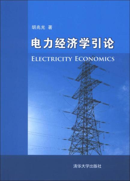 電力經(jīng)濟學(xué)引論