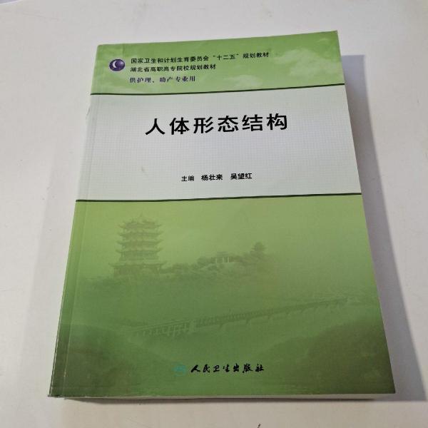 人體形態(tài)結(jié)構(gòu)