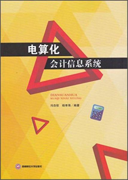 會(huì)計(jì)電算化信息系統(tǒng)