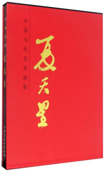夏天星/中国当代名家画集