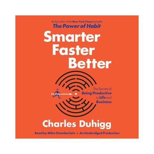 Smarter Faster Better  The Secrets of Being Productive in Life and Business