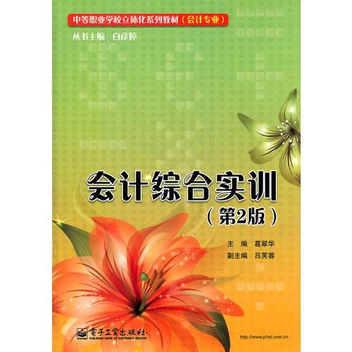 會計綜合實訓(xùn)（第2版）