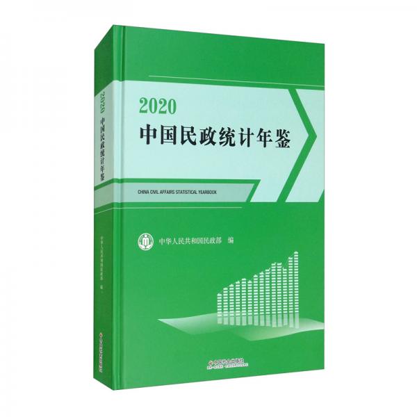 中国民政统计年鉴2020（附光盘）