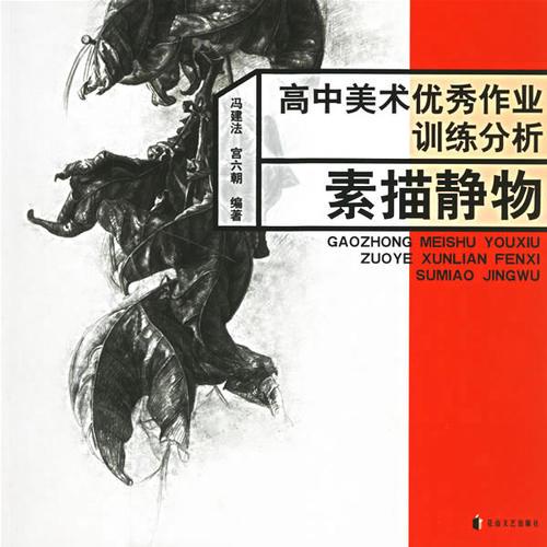 高中美術(shù)優(yōu)秀作業(yè)訓(xùn)練分析：素描靜物