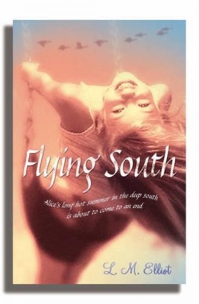 FlyingSouthUsborne英文原版