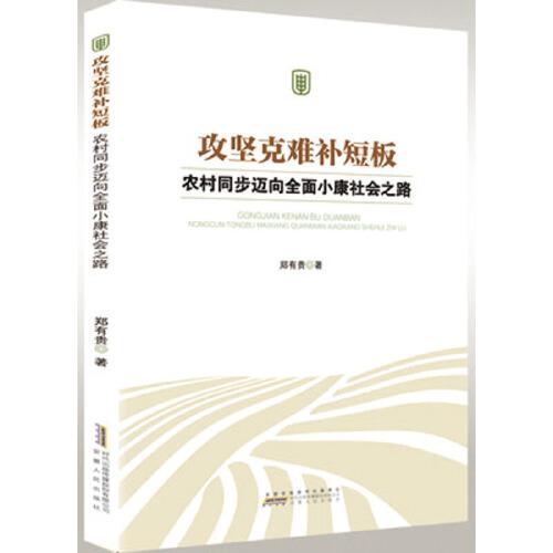 攻堅(jiān)克難補(bǔ)短板：農(nóng)村同步邁向全面小康社會(huì)之路