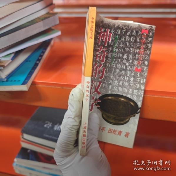 神奇的汉字/中华文明宝库