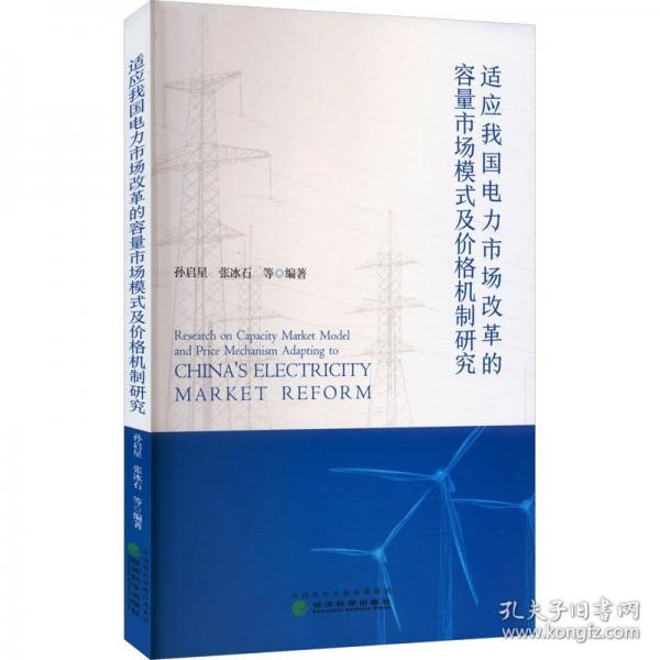 适应我国电力市场改革的容量市场模式及价格机制研究