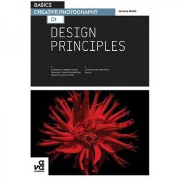 Basics Creative Photography: Design Principles 英文原版