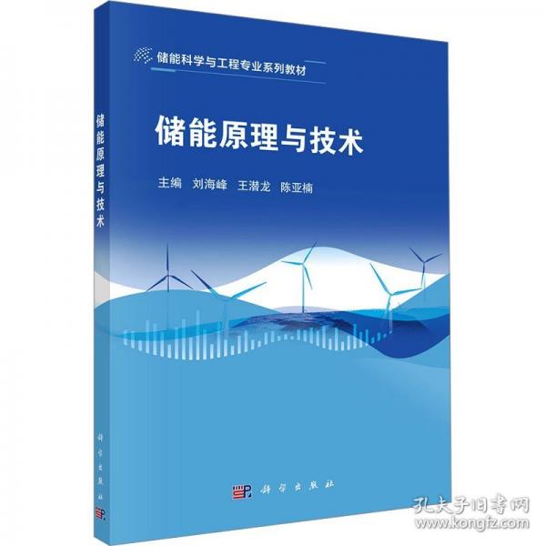 储能原理与技术