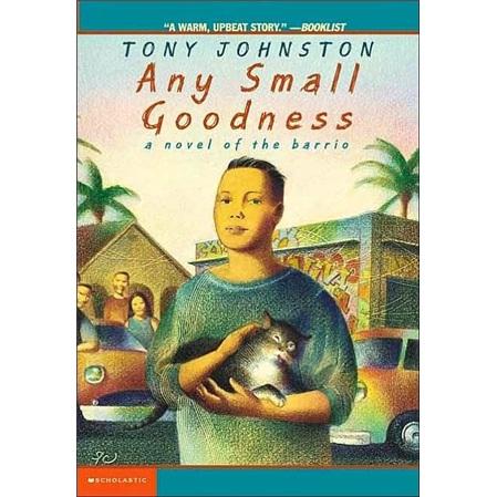 AnySmallGoodness:ANoveloftheBarrio小小的善意:一部關(guān)于西班牙語區(qū)的小說