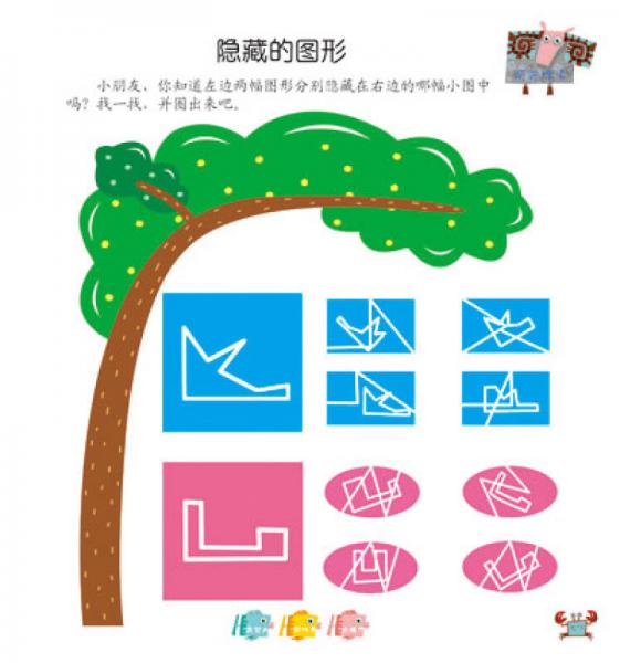 幼儿专注力阶梯训练