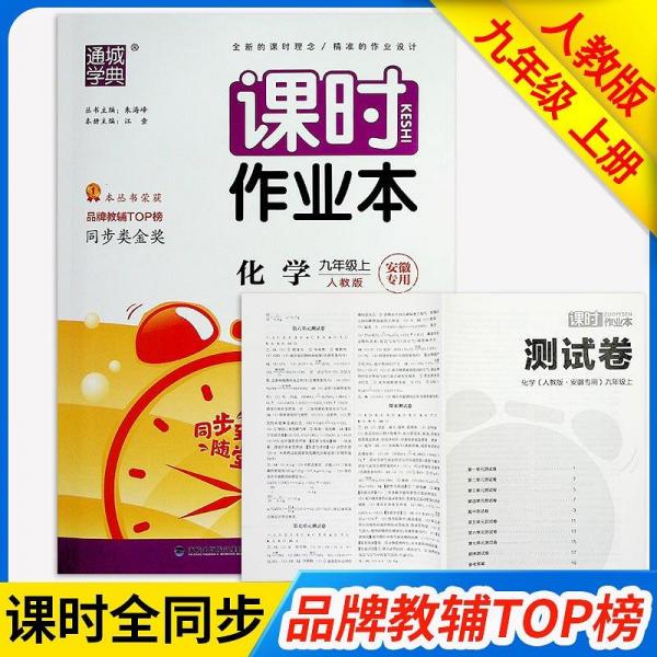 人教版初中化学课时作业本9九年级上册安徽专用