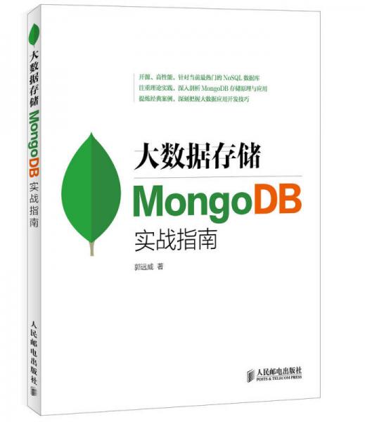 大数据存储MongoDB实战指南