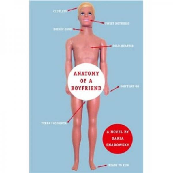 Anatomy of a Boyfriend