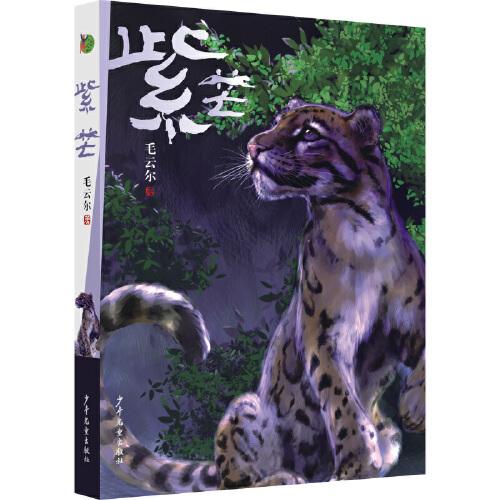 小巨人原創(chuàng) 紫芒