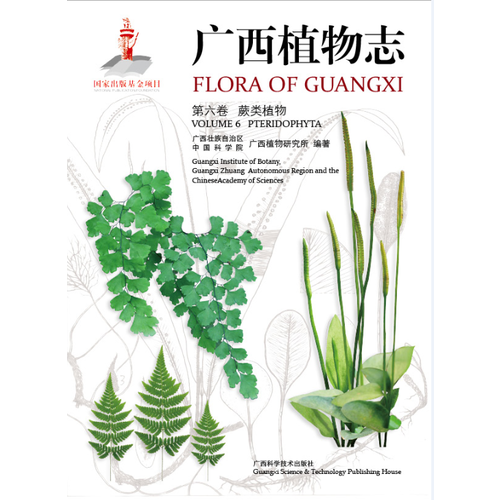 广西植物志 第六卷 蕨类植物