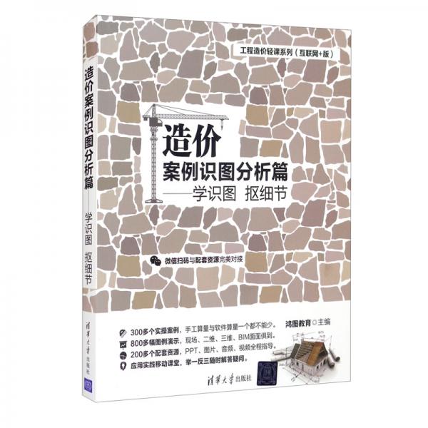 造价案例识图分析篇——学识图抠细节（工程造价轻课系列（互联网+版））